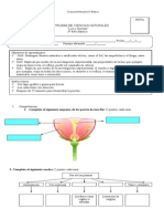 prueba ciencias naturales primera unidad tercero 2014 luz y sonido.doc