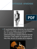 Australopithecus Afarensis PDF