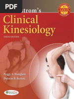 Bentley Nevada Adre 408 Manual Lymphatic Drainage