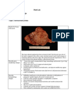 Path Pheochromocytoma