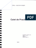 model caiet practica.pdf