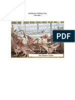 Download budidaya-ternak-itik by iuy1254 SN24383679 doc pdf