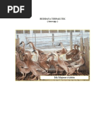 Download budidaya-ternak-itik by iuy1254 SN24383679 doc pdf