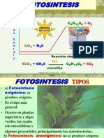 Fisiología vegetal - Fases de la fotosíntesis