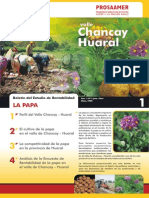 Boletin Papa - Chancay - Huaral PDF