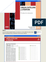 LENGUA Demo Instrucciones - Pps