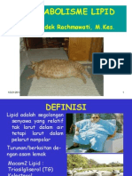 Metabolisme Lipid