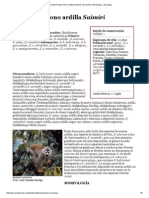 Primate Fichas Mono Ardilla (Saimiri) Taxonomía, Morfología, y Ecología PDF