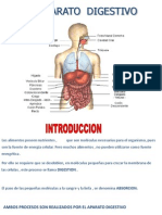 digestivo 2012.pptx