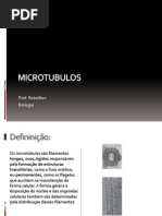 Microtubulos amau.pptx