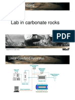 23 - Carbonate - Lab