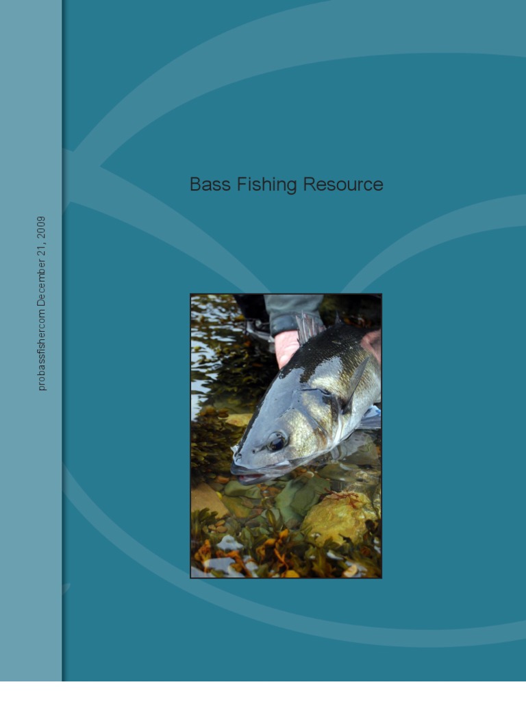 Bass Fishing Resources - Notes and Observations, PDF, Fly Fishing