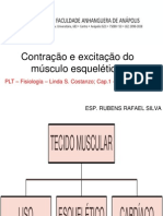 2 Contração e Excitação Do Músculo Esquelético.