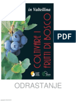 Malina Uzgoj Na Nasem Jeziku PDF