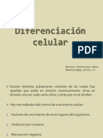 Diferenciacion Celular PDF