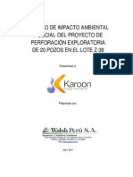 Resumen Ejecutivo Final Ambiental PDF