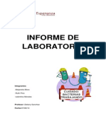 Informe de Laboratorio