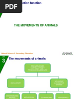 Movements Animals