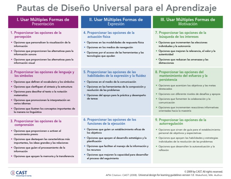 Pautas DUA PDF | PDF | Cognición | Ciencia cognitiva