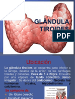 Glándula Tiroides.pptx