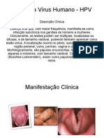 HPV: Papilomavírus Humano