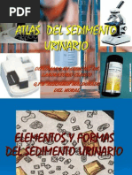 ATLAS DEL SEDIMENTO URINARIO.ppt