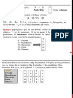 Cap1 PDF