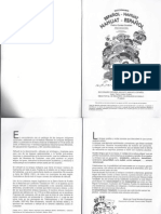 Diccionario Nt1 PDF