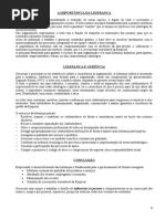 A IMPORTÂNCIA DA LIDERANÇA.doc