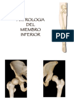MMII artrologia (1).pdf