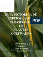 Guia pictorica de enfermedades en vegetales.pdf