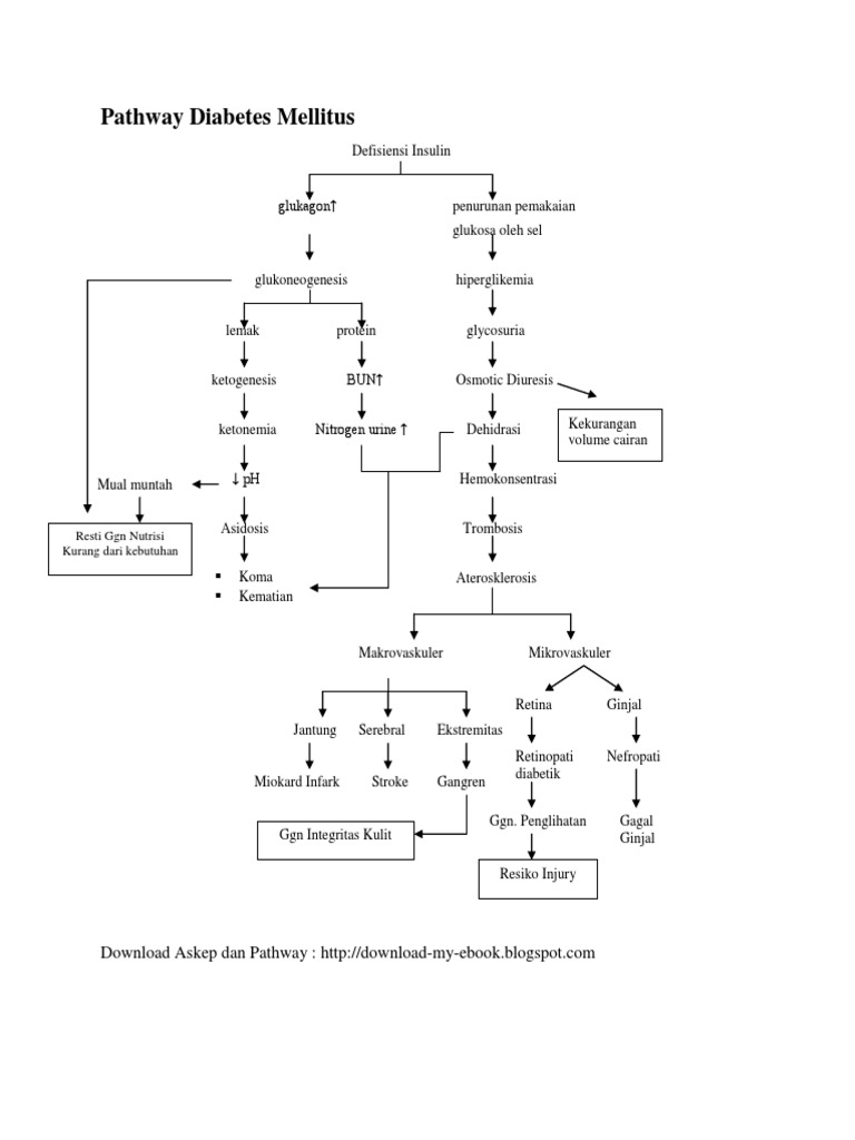 Pathway Diabetes Melitus Tipe 2 | PDF