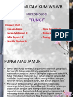 (PPT) Materi Mikrobiologi "Fungi"