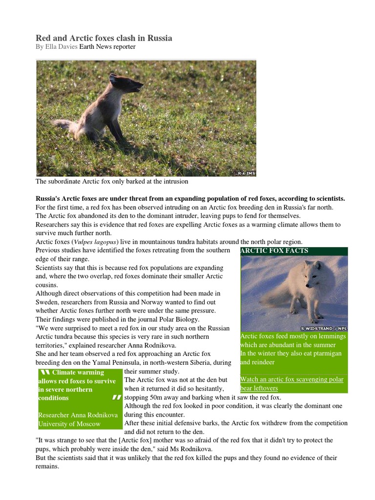 Arctic and Red Foxes | PDF | Arctic | Fox