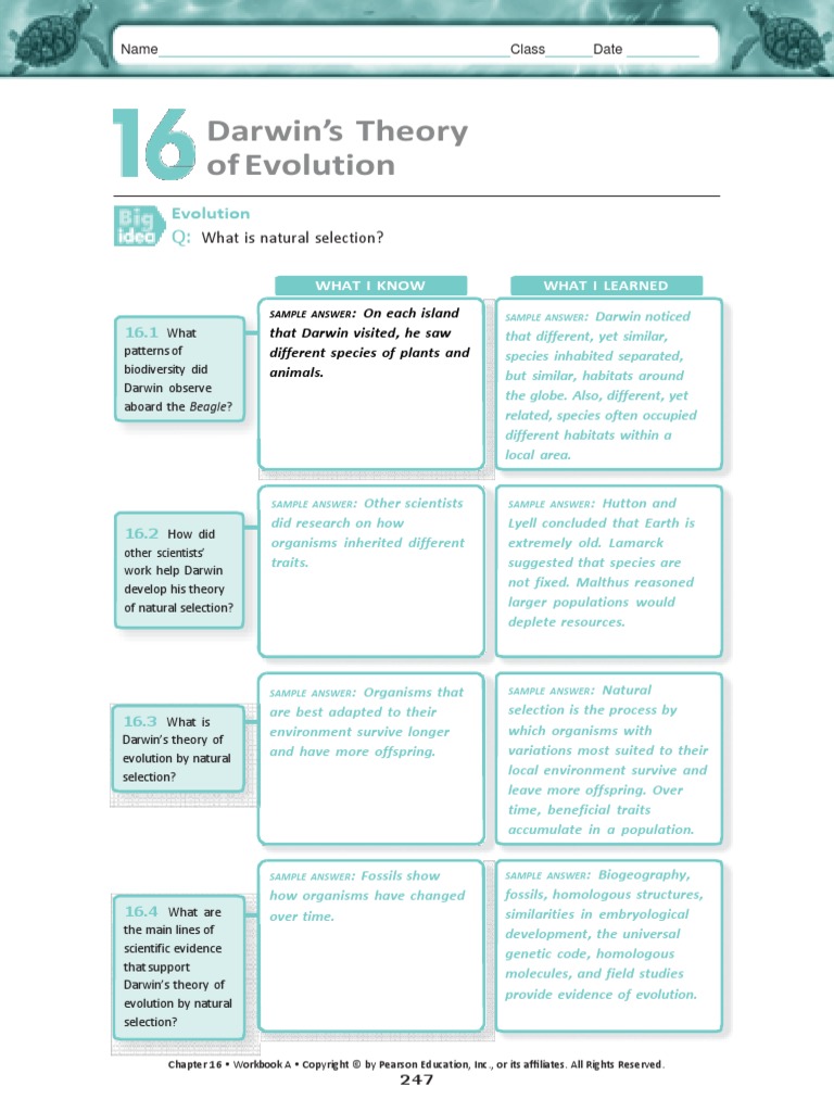 worksheet Pearson Education Biology Worksheet Answers answer the charles darrin packet docx natural selection evolution