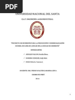 formulacion de proyecto.docx