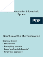 Microcirculation and Lymphatic System Structure Functions