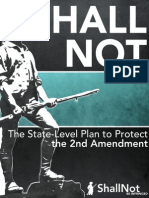 SHALL NOT: The State Level Plan to Protect the 2nd Amendment