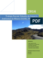 Trabajo Parcial - EIA Minera RUNI UNO PDF