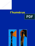 Fracturi Humerus