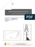 Devicenci-Ensayos-in-situ.pdf