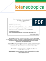 Chave Coleoptera PDF