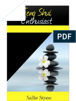 Feng Shui Enthusiast PDF
