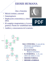 Meiosis