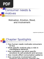 On Consumer Needs and Motives