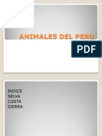 ANIMALES DEL PERU.pptx