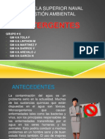 Detergentes 131103182521 Phpapp02