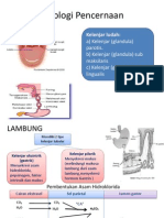 Fisiologi Pencernaan bagian atas.pptx