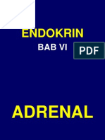 Histologi Endokrin Dr. Edy