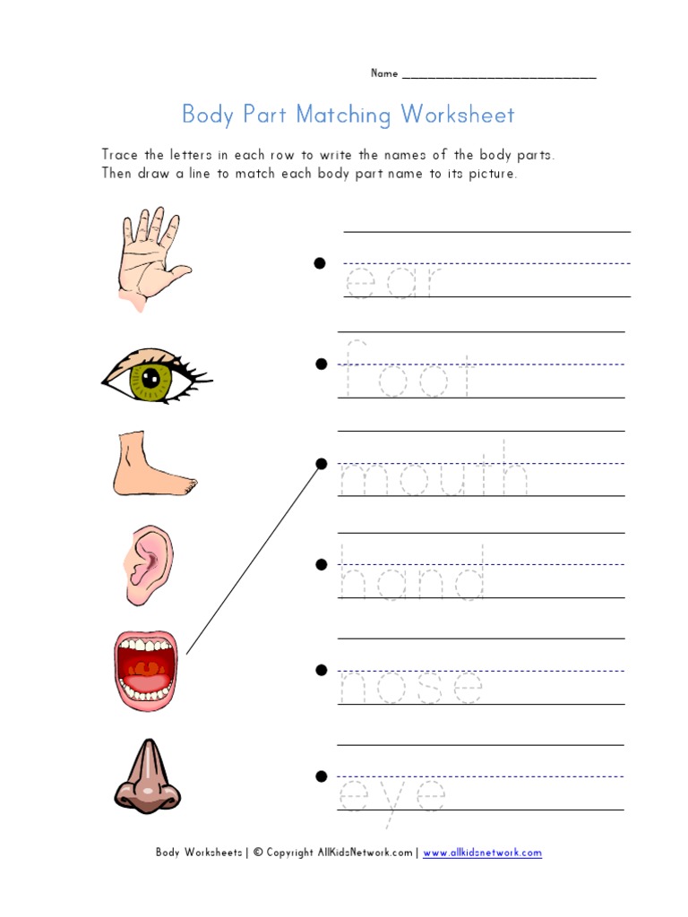body parts matching worksheet pdf business